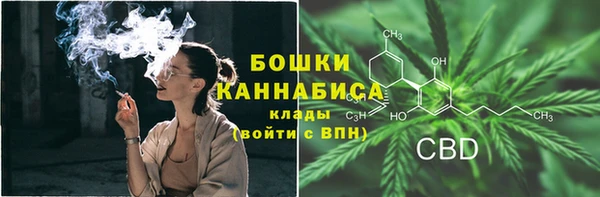 эйфоретик Белокуриха