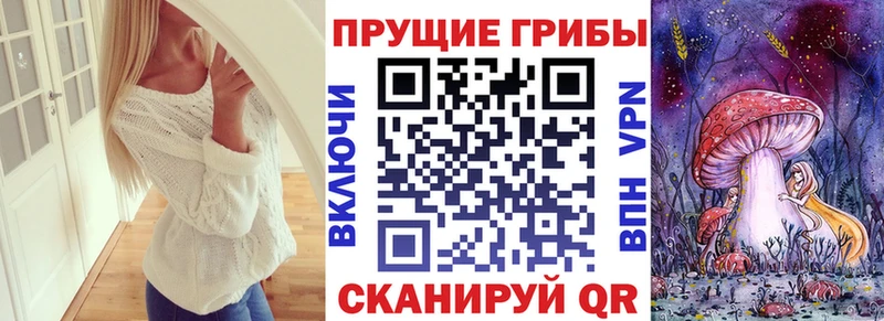 OMG как войти  Выкса  Псилоцибиновые грибы мицелий 